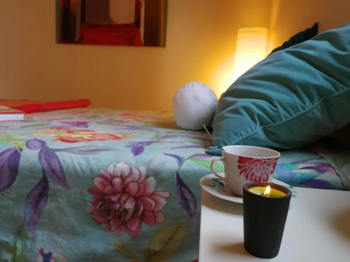 Guest house Welcome To Discover The Magic Amazing Tenerife !! Private Bath Nice Breakast Wf :) Candelaria